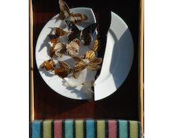 "Schmetterlinge" von Hansjürgen Gartner | Objektkasten, 2010